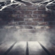 Pinnacle Home Inspections Treasure Valley Idaho Home Inspections Crawlspace and basements